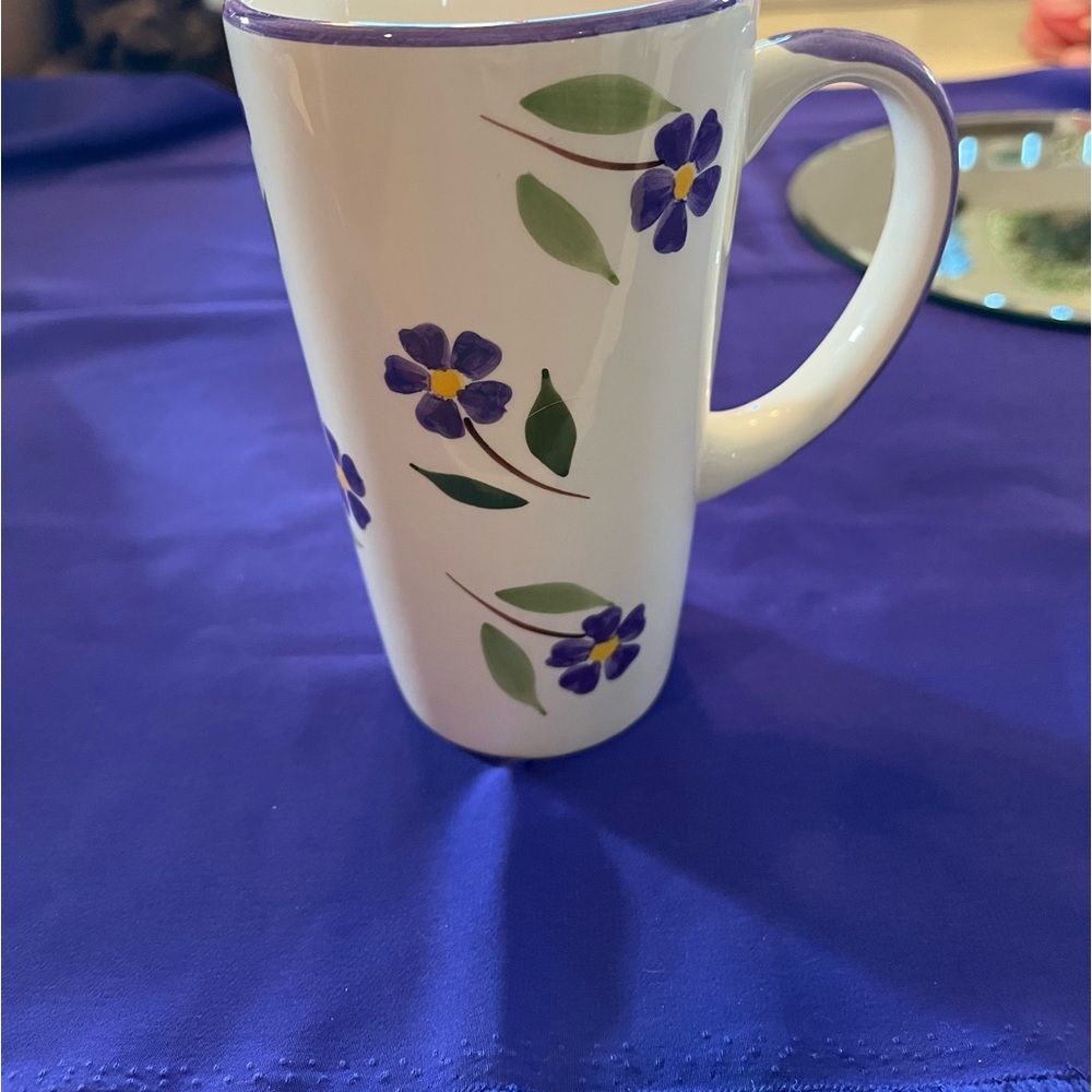 Verona extra tall coffee mug.  Great colors.